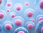 Regenerative Medicine Courses