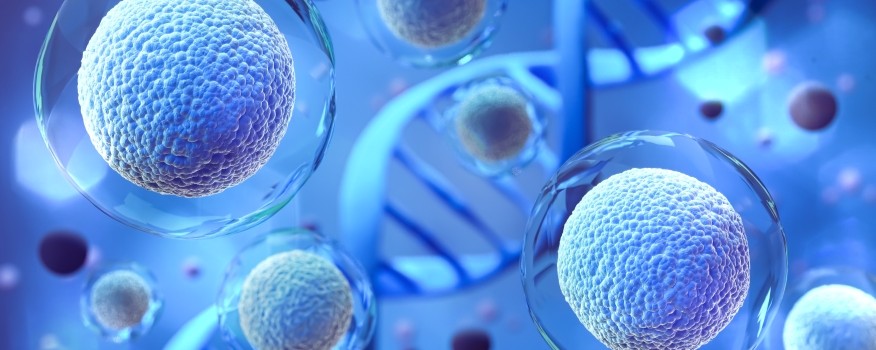 Healthcare provider discussing regenerative medicine treatment options and practice growth systems with patient